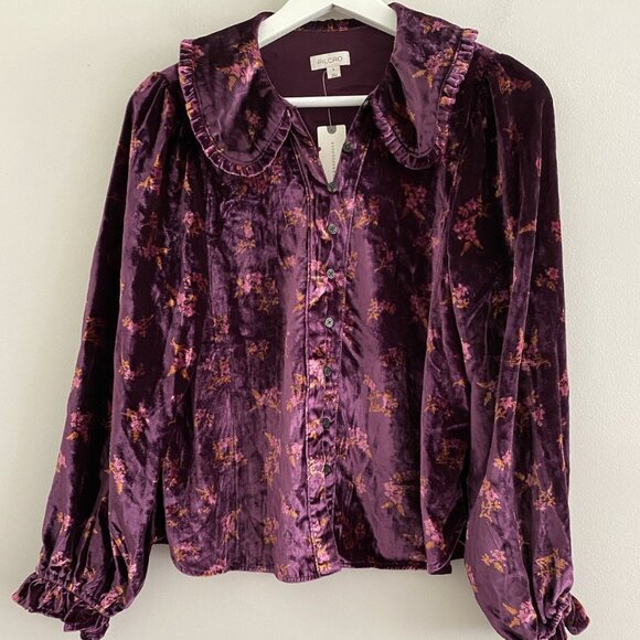 Anthropologie The Keira Collared Button-Front Blouse by Pilcro: Long-Sleeve XL - Picture 5 of 9